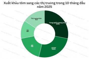 Xuất khẩu tôm quý cuối năm dự báo giảm tốc