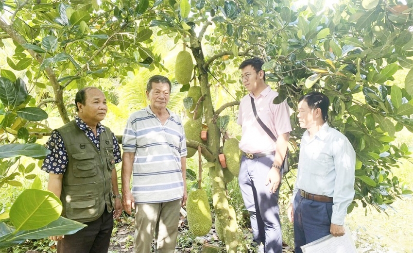 Giảm nghèo đa chiều ở Cần Thơ: Nỗ lực tạo thay đổi bền vững