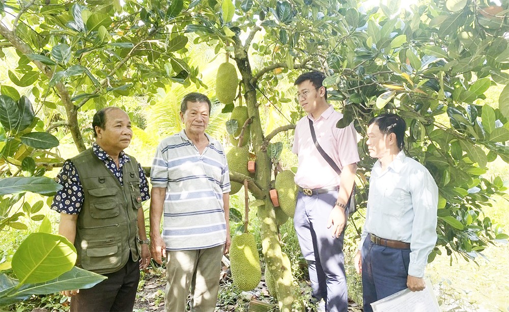 Giảm nghèo đa chiều ở Cần Thơ: Nỗ lực tạo thay đổi bền vững