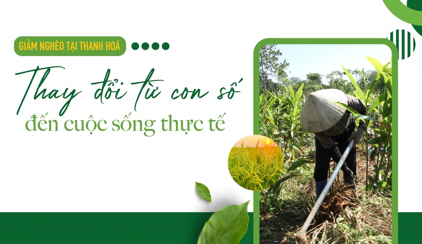 Giảm nghèo tại Thanh Hóa: Thay đổi từ con số đến cuộc sống thực tế