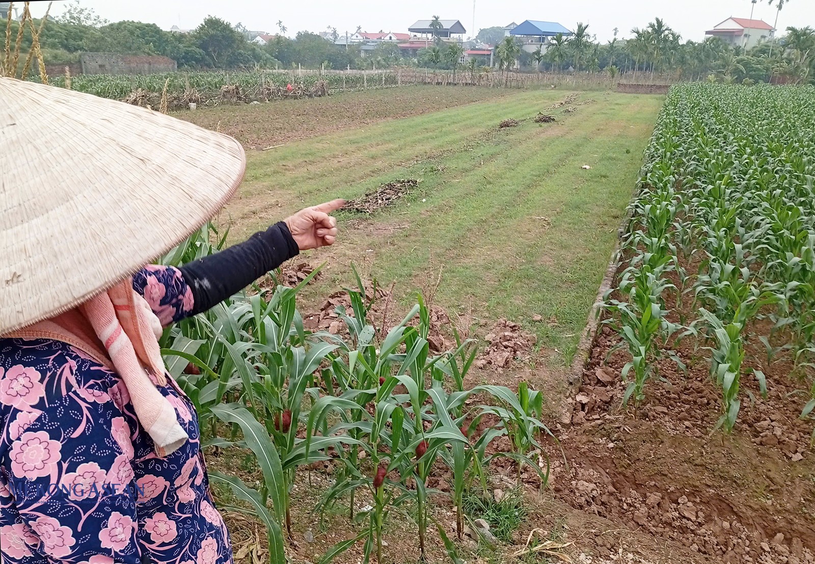Đời sống của người dân Hưng Yên ngày một nâng cao. Ảnh: Phùng Nguyện/Mekong ASEAN.