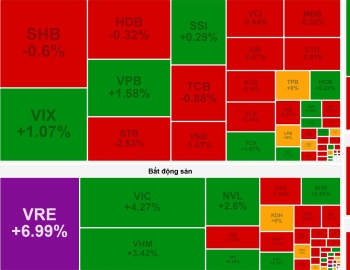 Vốn hóa vượt 900.000 tỷ đồng, Vingroup kéo VN-Index đi lên