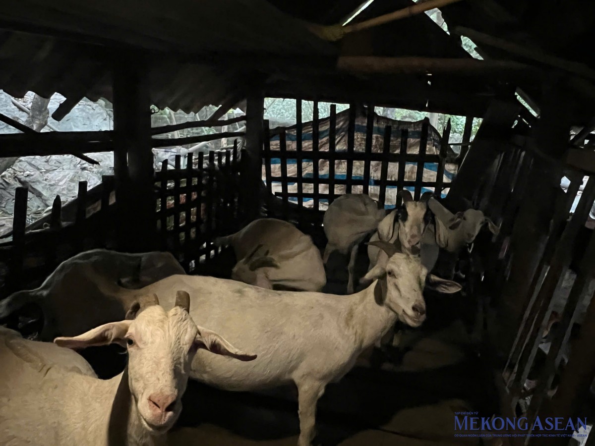 Ninh Bình phát huy tiềm năng du lịch để thúc đẩy giảm nghèo bền vững