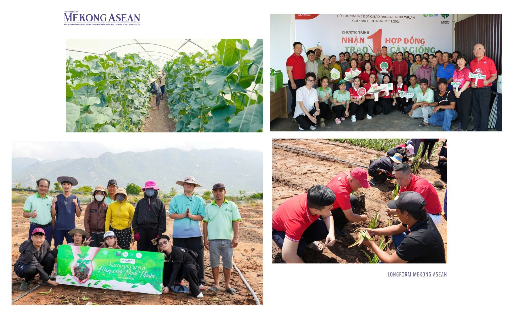 Sinh kế trên vùng đất khô hạn: GC Food gieo trồng những mùa xanh hạnh phúc