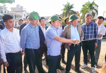 Hải Phòng phấn đấu khởi công một số tuyến đê trong năm 2026