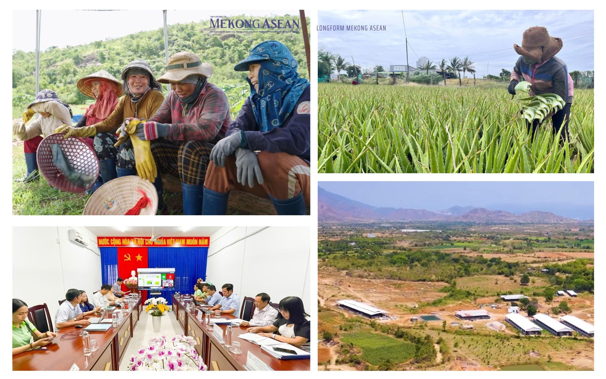 Sinh kế trên vùng đất khô hạn: GC Food gieo trồng những mùa xanh hạnh phúc