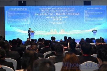 Các lĩnh vực hợp tác tiềm năng giữa Việt Nam và tỉnh Quảng Tây (Trung Quốc)