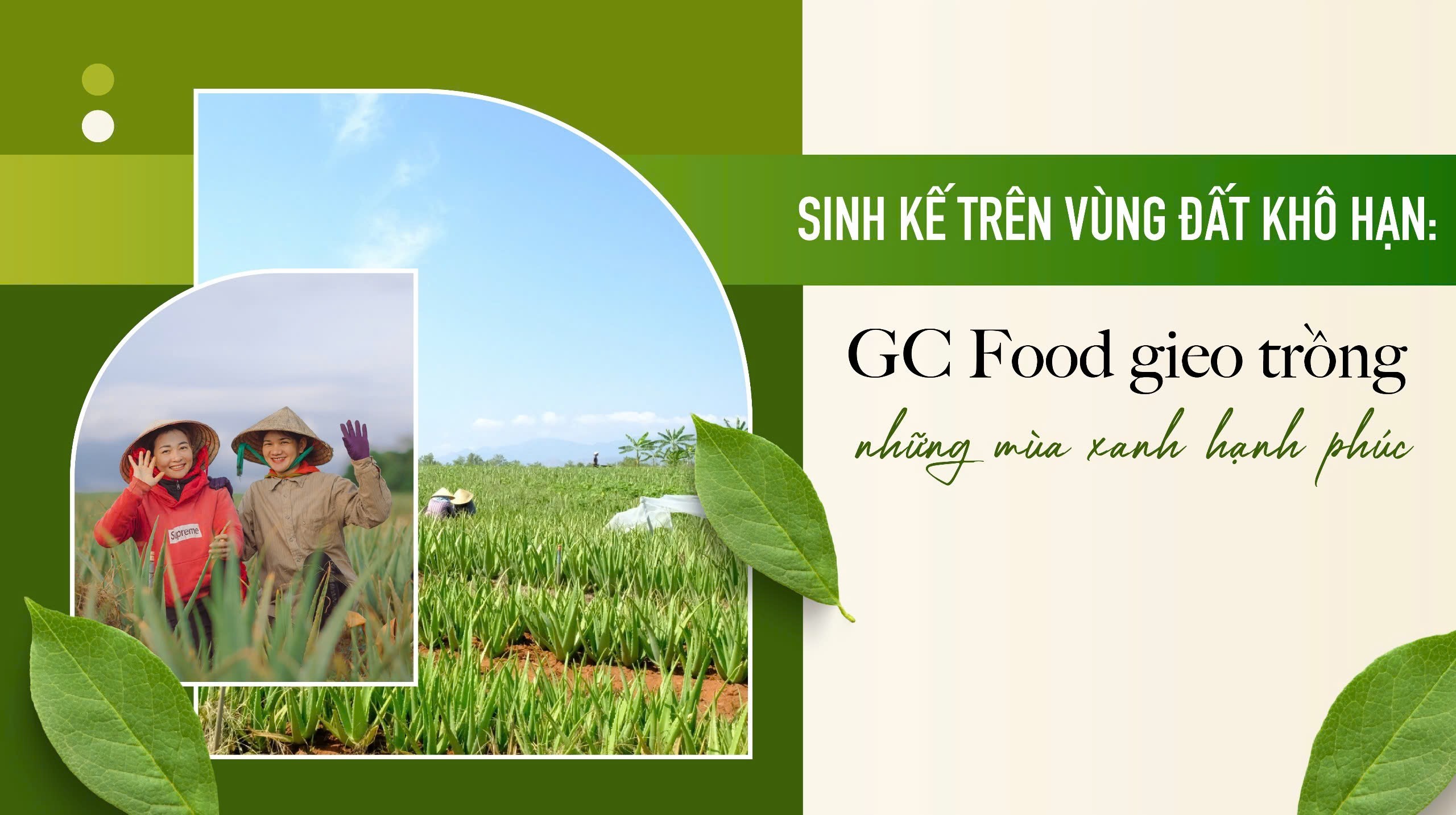 Sinh kế trên vùng đất khô hạn: GC Food gieo trồng những mùa xanh hạnh phúc
