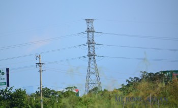 Nền kinh tế xanh có thể tạo thêm gần một triệu việc làm tại Đông Nam Á