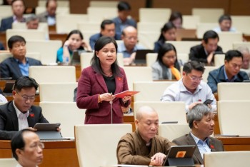 Đại biểu Quốc hội 