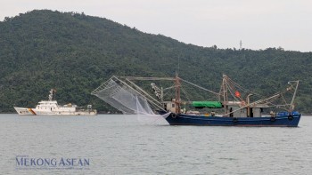 Xuất khẩu thủy sản hướng tới mốc 11 tỷ USD năm 2025