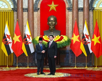 Chủ tịch nước Lương Cường hội đàm với Quốc vương Brunei