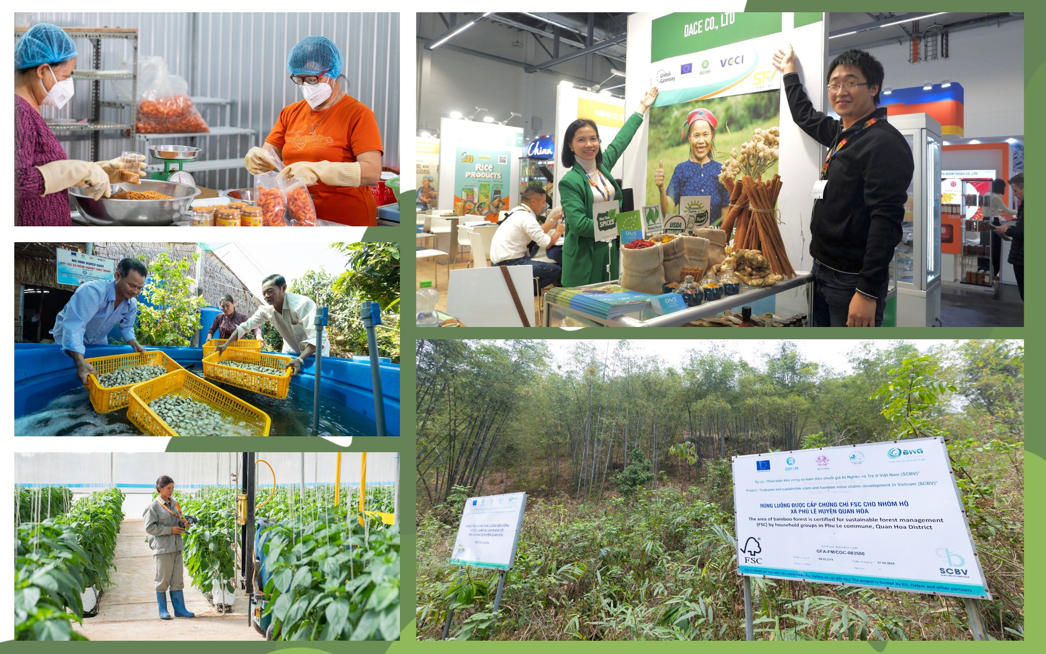 Giám đốc quốc gia Oxfam: Những yếu tố then chốt cho giảm nghèo bền vững tại Việt Nam (Bài 1)