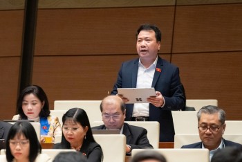 Đại biểu Quốc hội: 