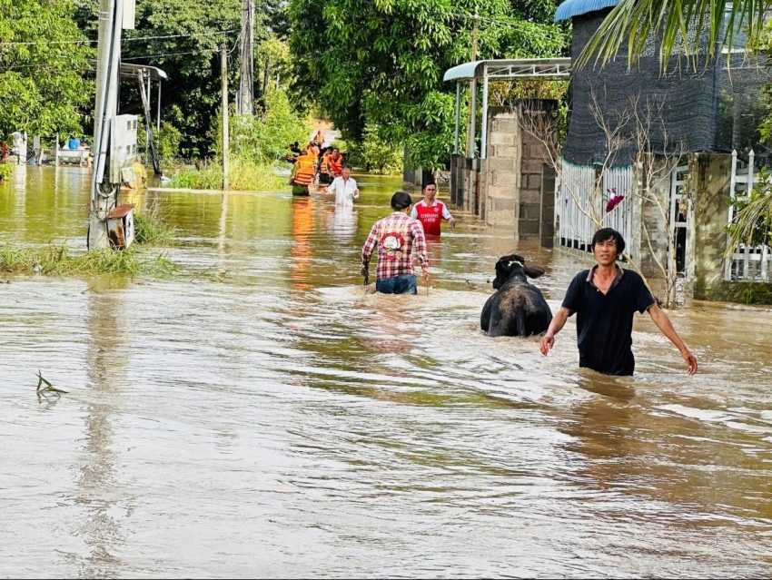 Lâm Đồng: Mưa lũ gây ngập hơn 6.000 ngôi nhà, giao thông chia cắt
