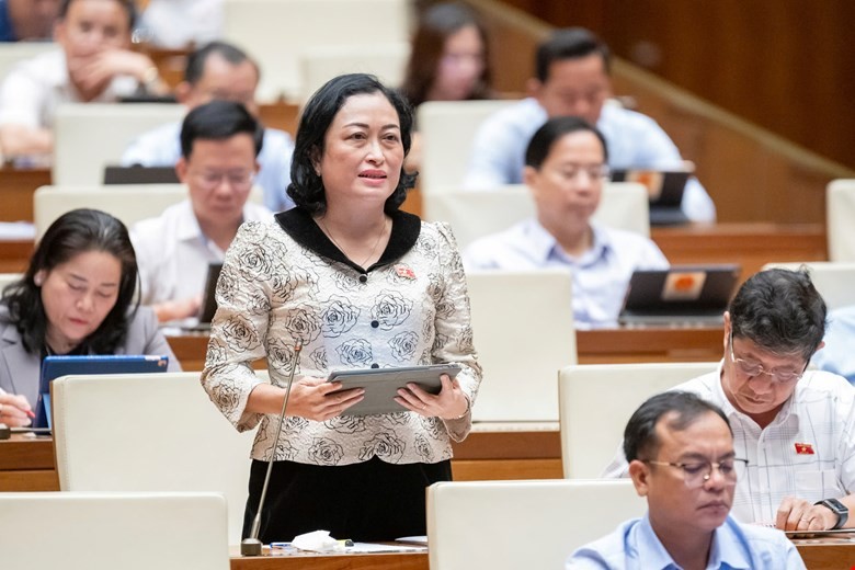 Đại biểu Trần Thị Hoa Ry - Đoàn ĐBQH tỉnh Cà Mau