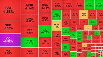 VIC 'gồng gánh' thị trường, TLG hút tiền sau tin về M&A