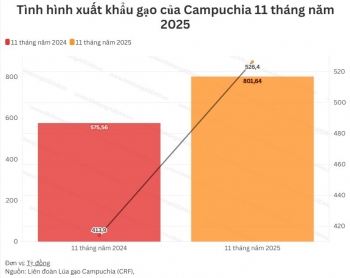 Campuchia: Xuất khẩu gạo tăng 39% trong 11 tháng đầu năm 2025