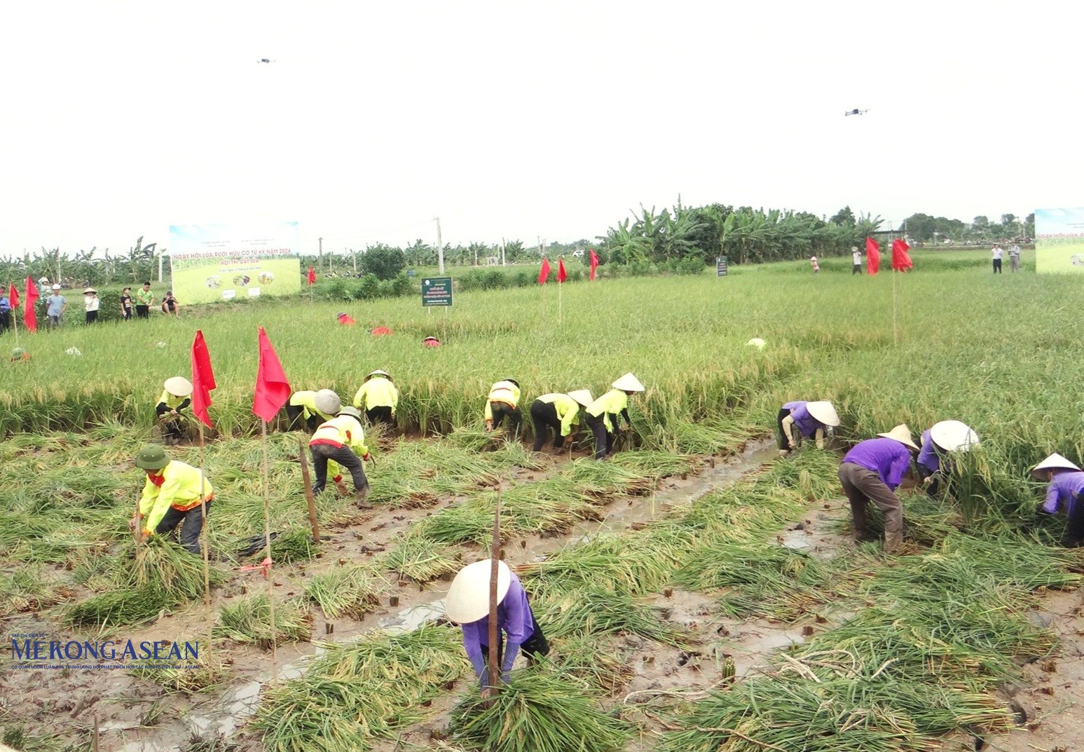 Hải Phòng phát huy công trình thủy lợi, nhân rộng vùng rươi cáy chất lượng cao