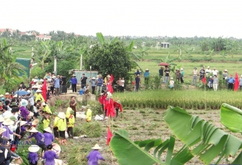Hải Phòng phát huy công trình thủy lợi, nhân rộng vùng rươi cáy chất lượng cao