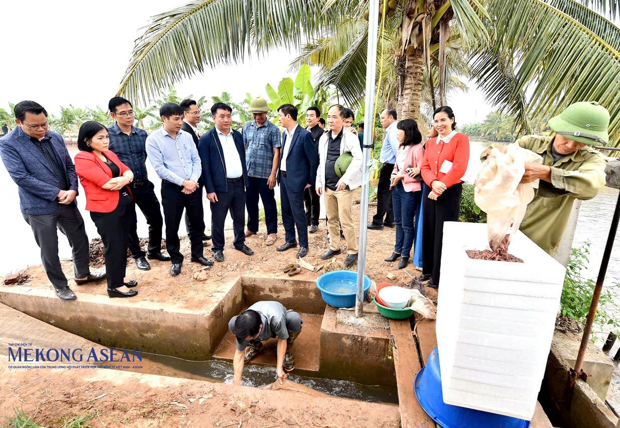 Hải Phòng phát huy công trình thủy lợi, nhân rộng vùng rươi cáy chất lượng cao