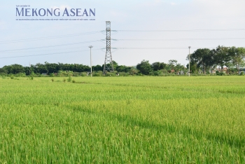 Nông nghiệp tập trung khôi phục sản xuất sau thiên tai trong tháng 11