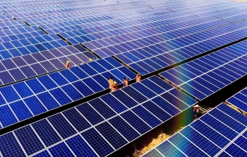 Bamboo Capital dự kiến lỗ liên tiếp giai đoạn 2024 - 2027