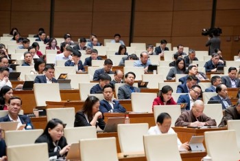 Sửa Luật Thuế Giá trị gia tăng: Tập trung gỡ vướng lĩnh vực nông nghiệp và hoàn thuế