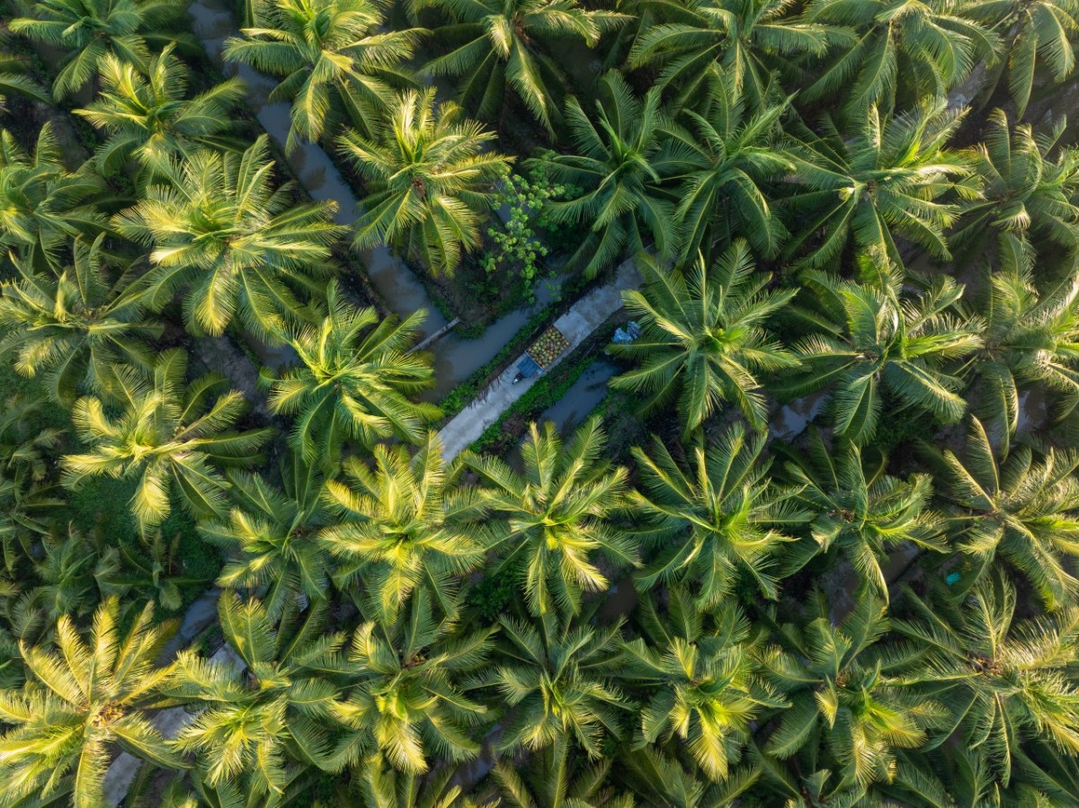 SBT công bố chiến lược tăng trưởng 2025–2030 tại Đại hội đồng cổ đông SBT công bố chiến lược tăng trưởng 2025–2030 tại Đại hội đồng cổ đông