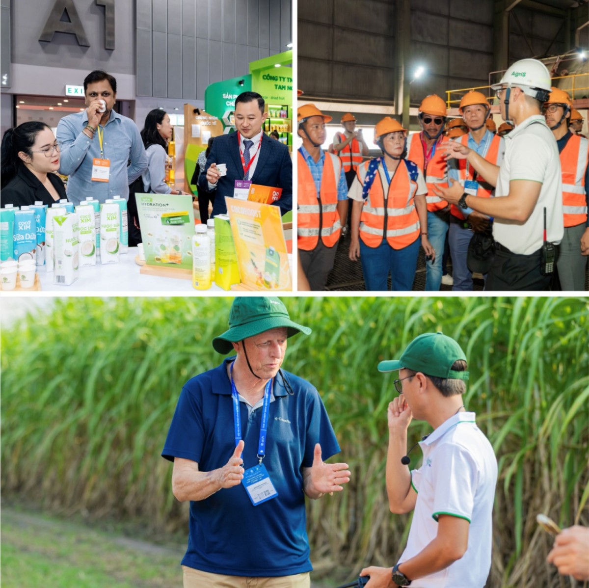 SBT công bố chiến lược tăng trưởng 2025–2030 tại Đại hội đồng cổ đông