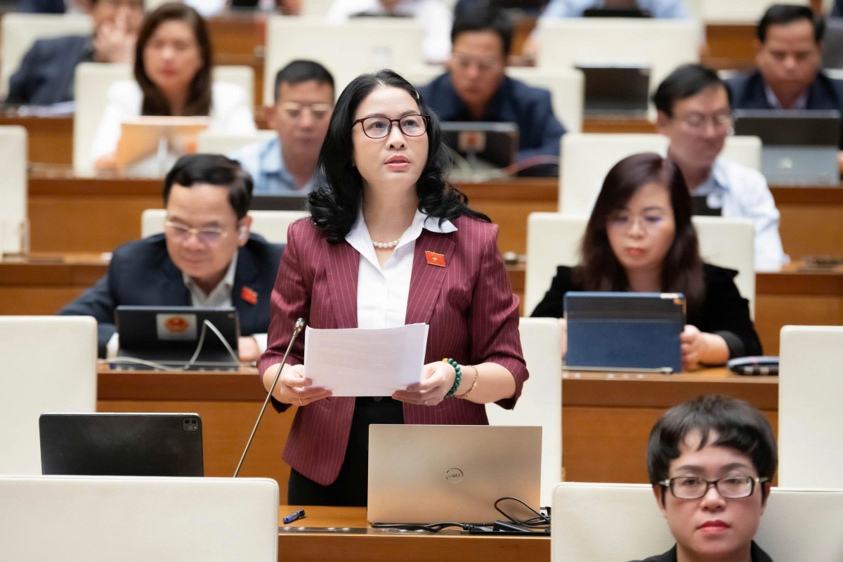 Đại biểu Nguyễn Thị Lan, Đoàn ĐBQH thành phố Hà Nội 