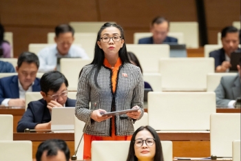 Nhà nước cần đi trước 'mở đường' cho tư nhân đầu tư điện hạt nhân cỡ nhỏ