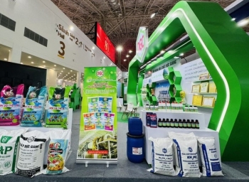 Hoá chất Đức Giang tạm ứng cổ tức tiền mặt tỷ lệ 30%