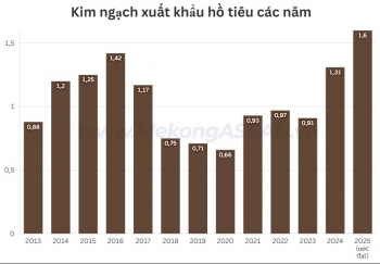 Hồ tiêu lập đỉnh xuất khẩu, mở rộng dư địa phát triển