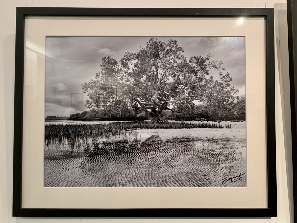 Triển lãm ảnh 'Nơi ánh mắt giao hoà' của Đại sứ Philippines tại Việt Nam