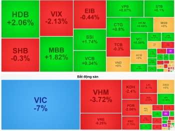 VN-Index mất hơn 28 điểm trong phiên VIC giảm sàn
