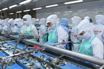 Việt Nam xuất khẩu tôm sang Trung Quốc tăng tới 60%