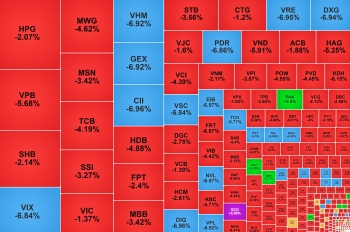 VN-Index 'rơi' hơn 50 điểm, một cổ phiếu ngược dòng tăng trần 3 phiên