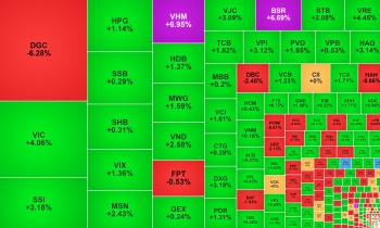 Nhóm Vingroup kéo VN-Index tăng tốc, DGC  'giải cứu' bất thành