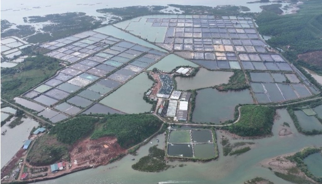 BIM Group khởi công loạt dự án hơn 10.500 tỷ đồng tại Quảng Ninh