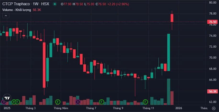 Cổ đông Traphaco sắp nhận cổ tức tiền mặt