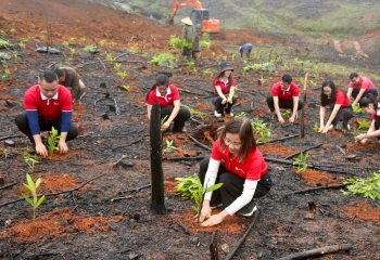 SeABank hỗ trợ trồng gần 671 nghìn cây xanh tại Hà Tĩnh