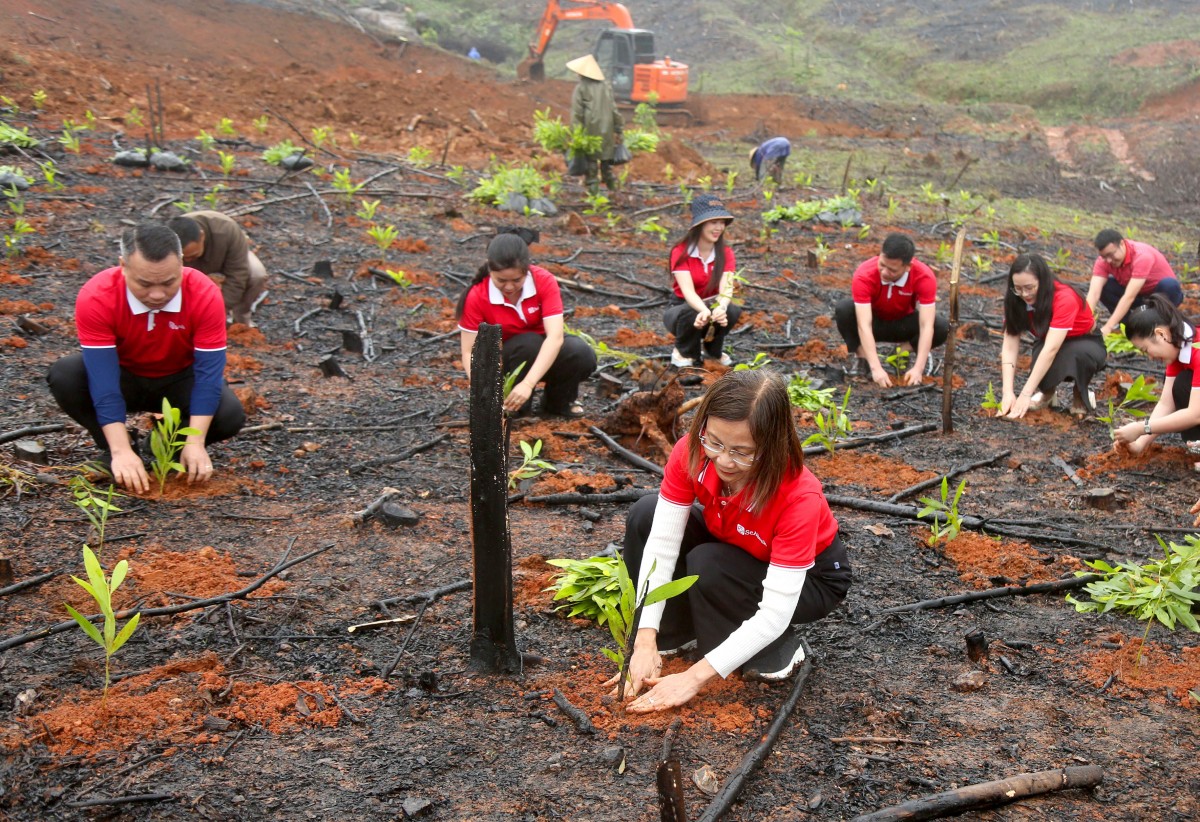 SeABank hỗ trợ trồng gần 671 nghìn cây xanh tại Hà Tĩnh