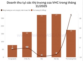 Doanh thu của Vĩnh Hoàn rớt nhẹ trong tháng 11/2025