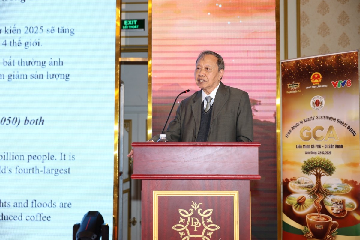 Từ hạt cà phê đến giá trị: Việt Nam đang đứng ở đâu?