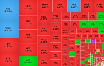 Nhóm cổ phiếu Vingroup giảm sàn khiến VN-Index rơi sâu