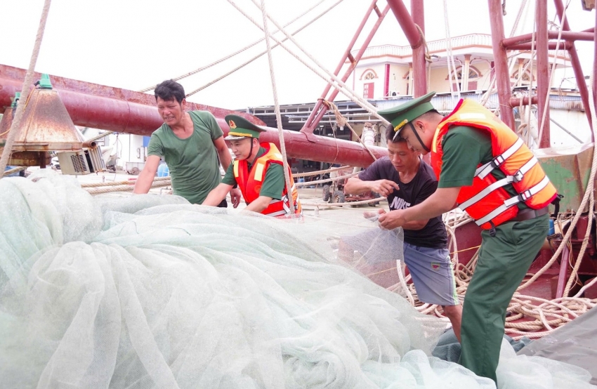 Hải Phòng thực hiện các giải pháp chống khai thác hải sản bất hợp pháp