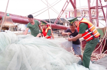 Hải Phòng thực hiện các giải pháp chống khai thác hải sản bất hợp pháp