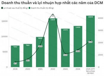 Lãi sau thuế quý 4/2025 của Phân bón Cà Mau dự báo tăng 123%