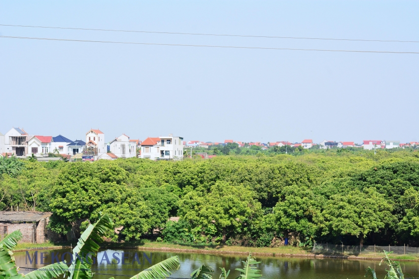 Ban hành Bộ tiêu chí về nông thôn mới giai đoạn 2026 – 2030